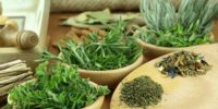 Las hierbas aromáticas: una tradición ancestral