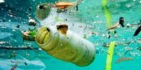 Combaten los desechos plásticos en el medio ambiente