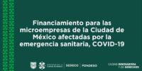   Financiamiento para las microempresas de la Ciudad de México ante el COVID-19