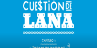 Cue$tión de Lana, consejos sobre finanzas