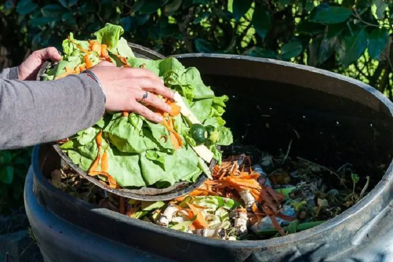 México desperdicia 20 millones de toneladas de alimentos,