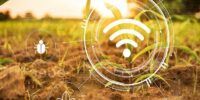 El modelo pionero PaaS optimiza el sector AgTech