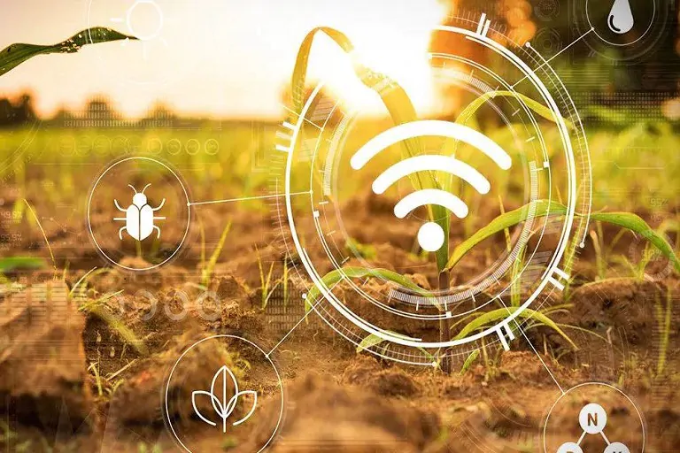 El modelo pionero PaaS optimiza el sector AgTech