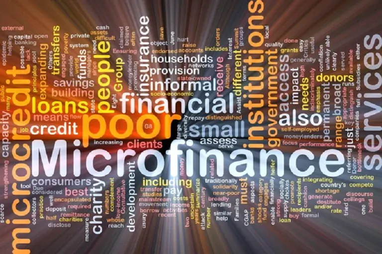 Microfinanzas reducen la brecha económica de las mujeres