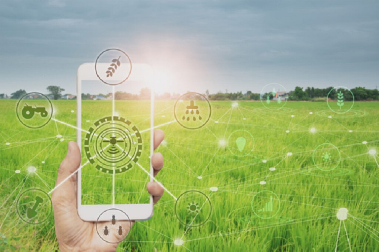 Agtech lanza app para el manejo de sus cultivos desde su smartphone