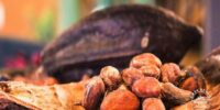 El poder del cacao para vivir ligero y con amor