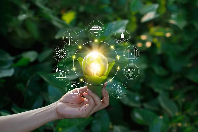 Tecnología y medio ambiente: ¿Cómo afecta la transformación digital a la huella de carbono?