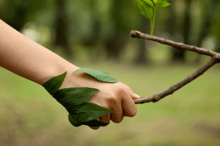 Eco-Disruptive, la convocatoria que busca startups que propongan soluciones sostentabilidad