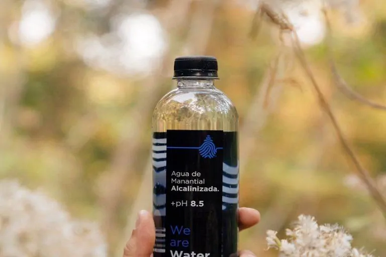 El emprendimiento de la bebida saludable y amigable con el medio ambiente