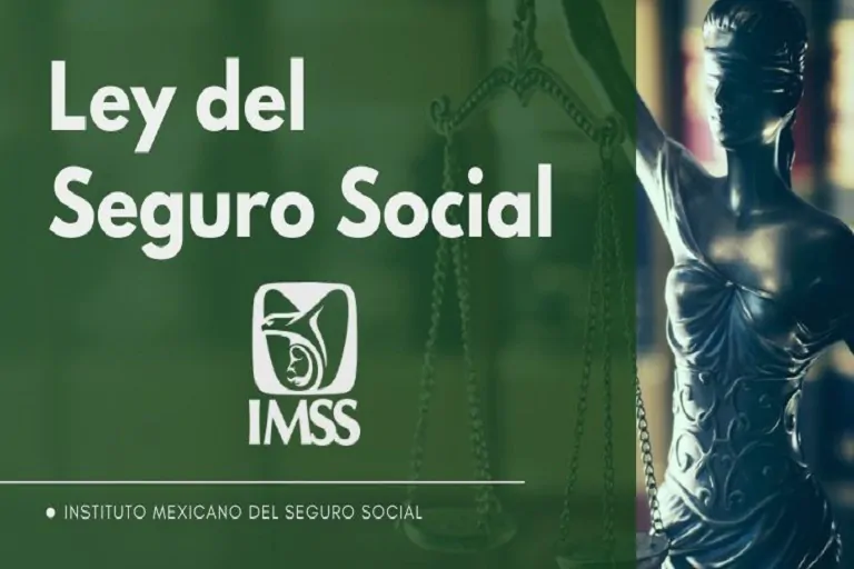 Lo que debes saber sobre la reforma a la Ley del Seguro Social para el 2023