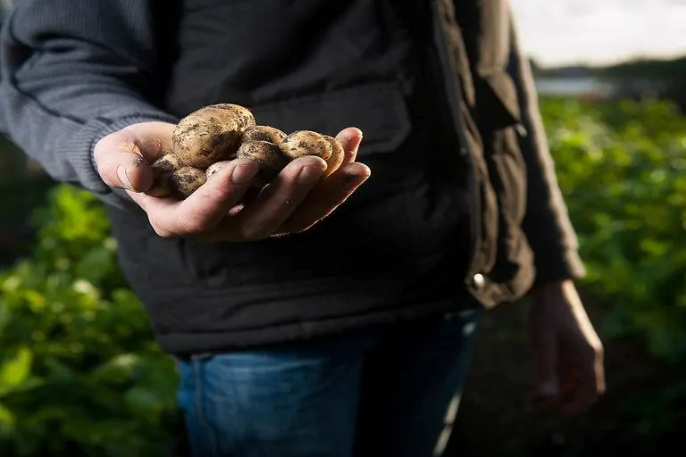 Emprendedora impulsa la agroecología desde su cocina