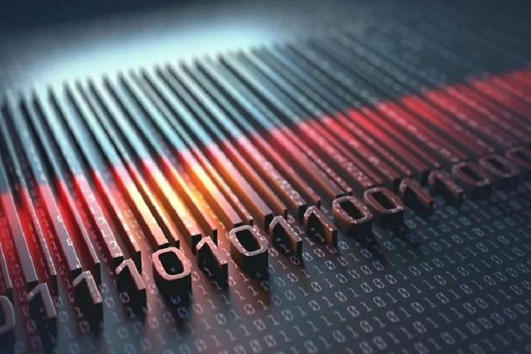 50 años de construir la economía moderna