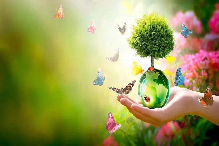 Celebrar el Día Mundial del Medio Ambiente implica compromiso