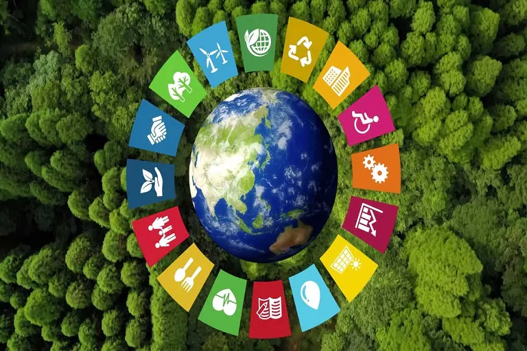 Sustentabilidad sí tiene un papel en su vida cotidiana