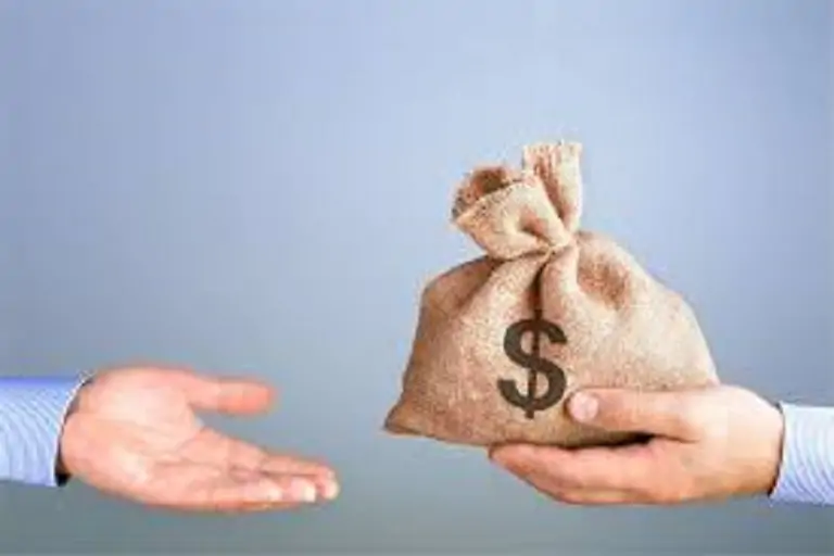 El Financiamiento a micronegocios son un salvavidas para la economía