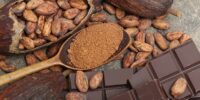 Celebran a cacaoticultores mexicanos