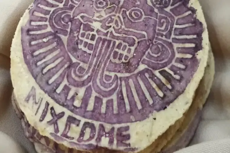 Emprendedores digitalizan productos de maíz