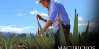 Los Macurichos: Guardianes de la tradición del mezcal en peligro de extinción