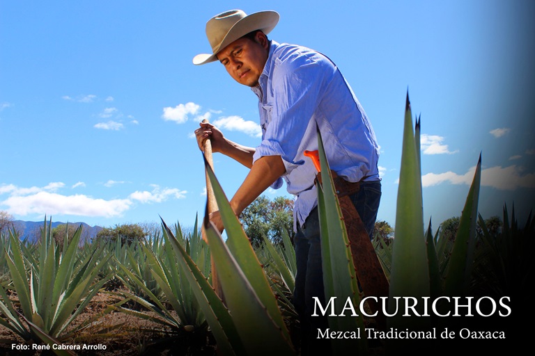 Los Macurichos: Guardianes de la tradición del mezcal en peligro de extinción