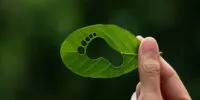 Calcular la huella de carbono: una oportunidad estratégica para las PyMEs mexicanas