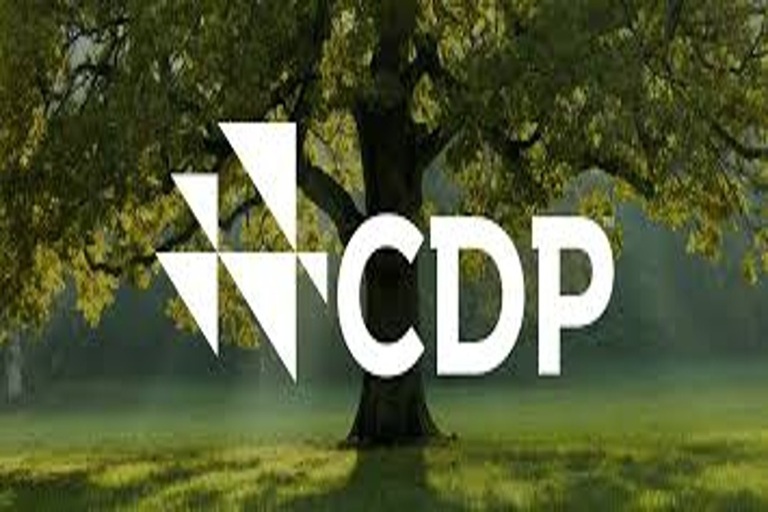Natura reafirma su liderazgo ambiental con calificación “A” del CDP: ejemplo global de compromiso climático empresarial