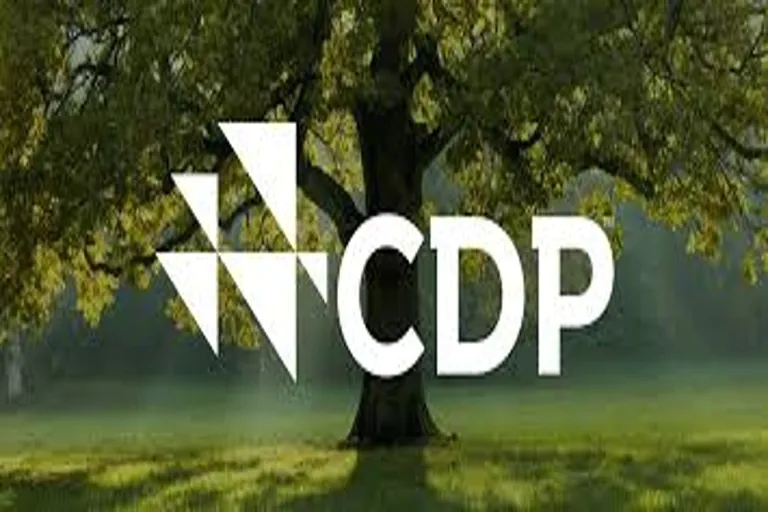 Natura reafirma su liderazgo ambiental con calificación “A” del CDP: ejemplo global de compromiso climático empresarial