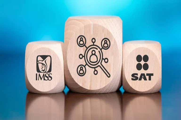 Microempresas: la base real del ecosistema empresarial mexicano